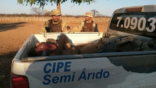 Policiais observam os corpos dos assaltantes