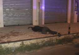 sobradomho1