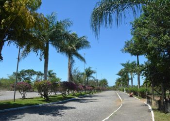 Lixo será recolhido e parques serão abertos durante Carnaval